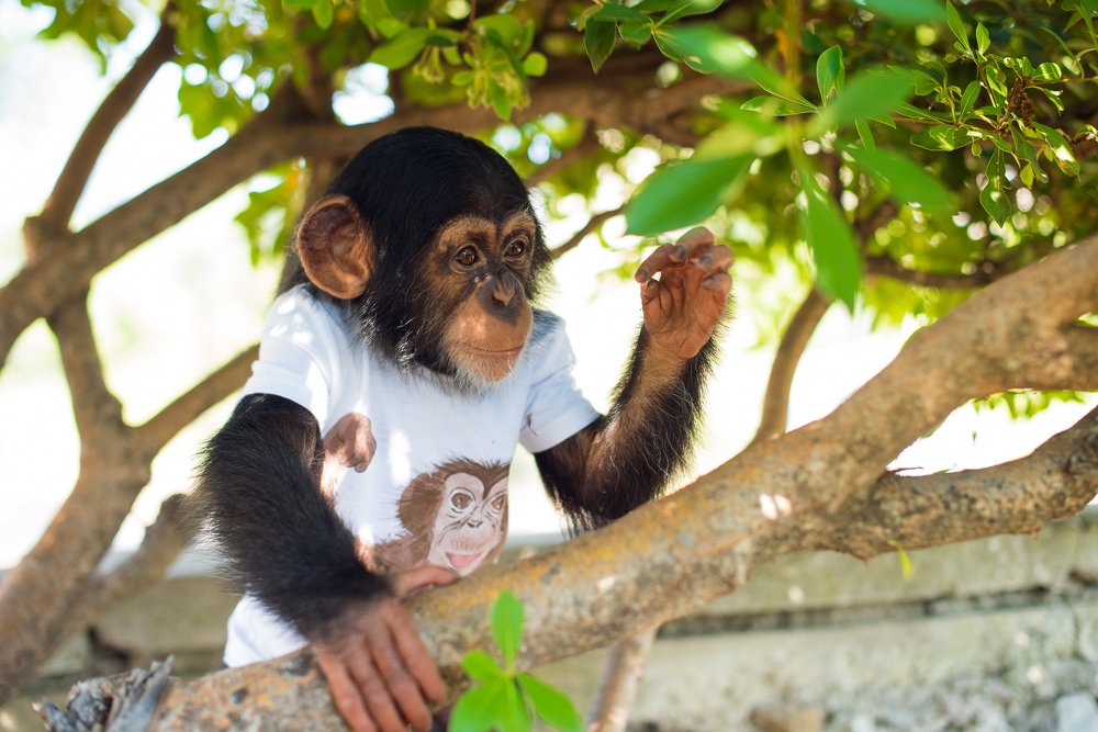 Photograph by Евгений Минин