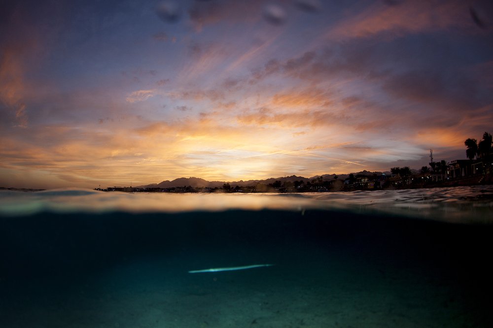 Photograph by Оксана Каменская