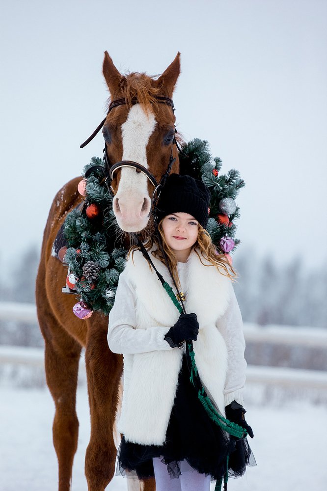 Зимняя сказка