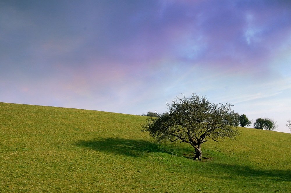 Photograph by Daria Kaloshina