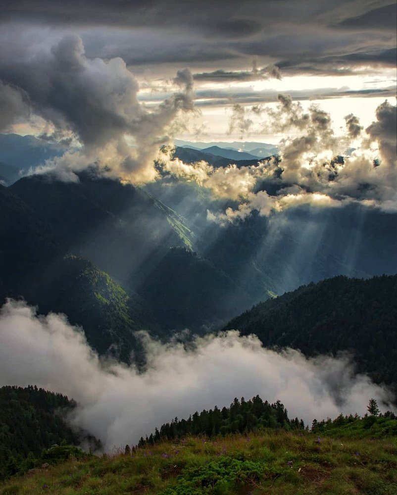 Photograph by Sohrab Niazi