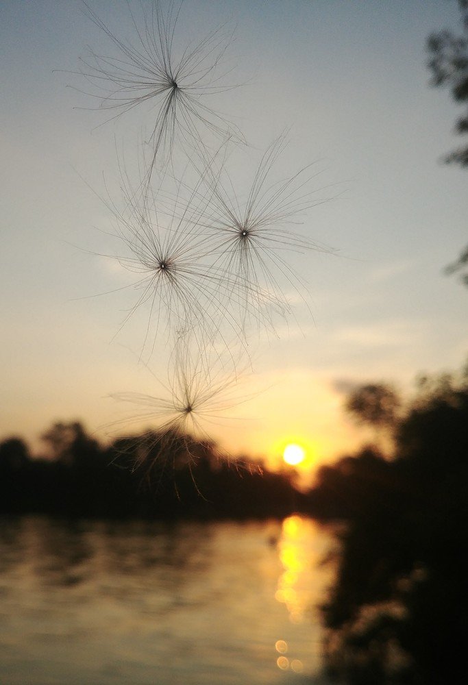 Photo #4191147