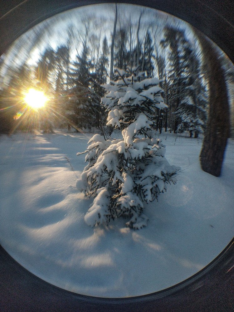 Photograph by Никита Юрин