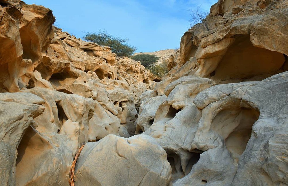 Photograph by Sohrab Niazi