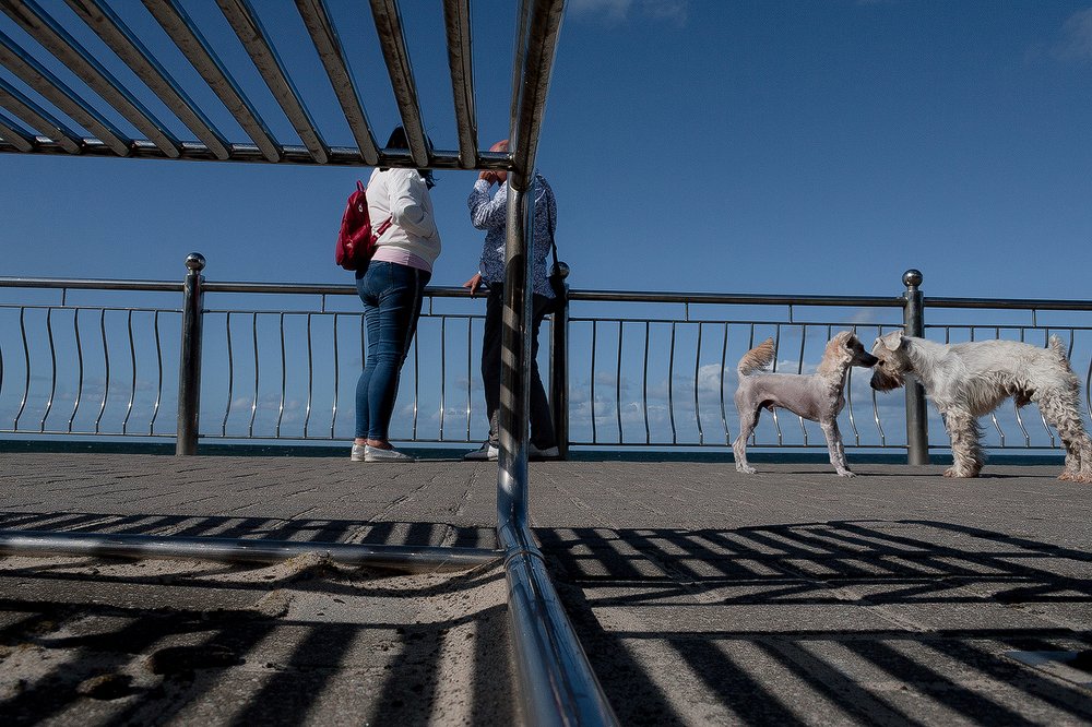 Photograph by Иван Митюшев