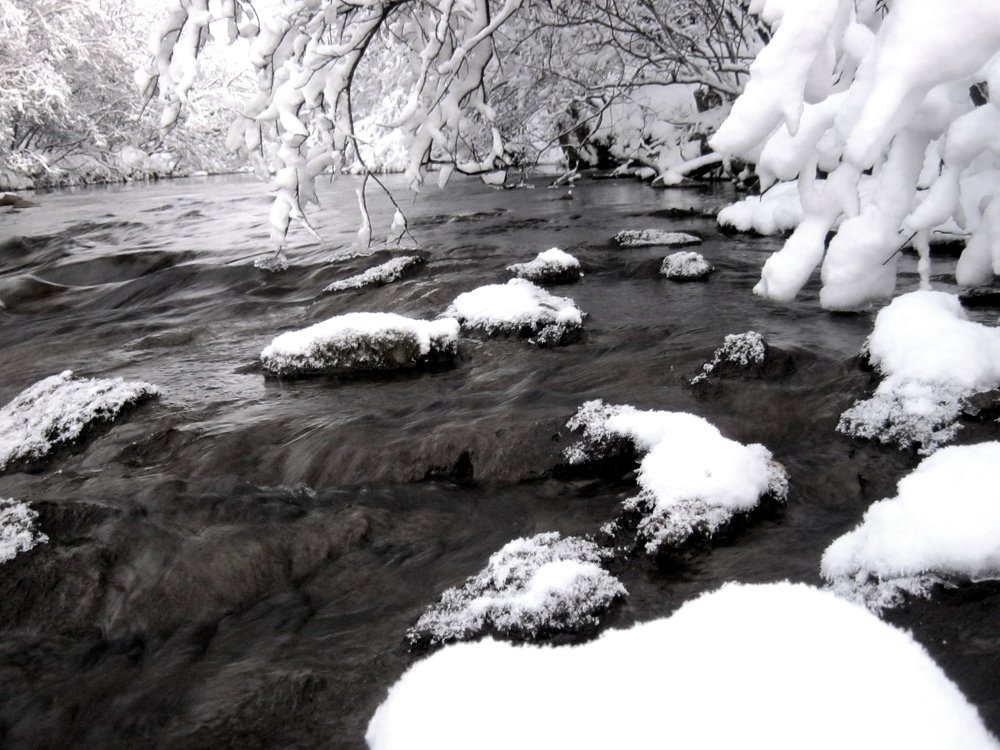 Photograph by Ирина Чечкина