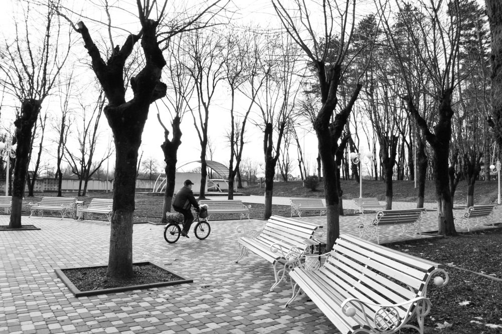 Фотография автора Анастасия Потапова