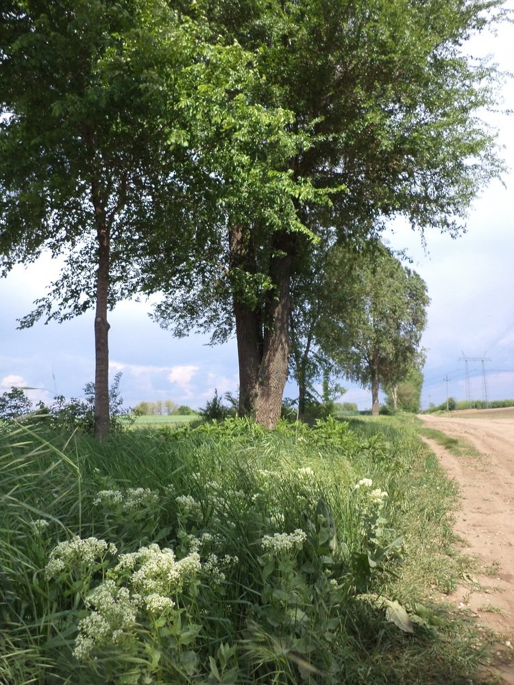 Photograph by eszter bodnár