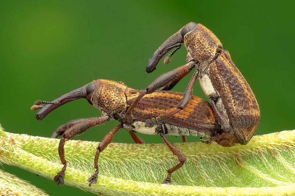 Photograph by KAIYEN LEE