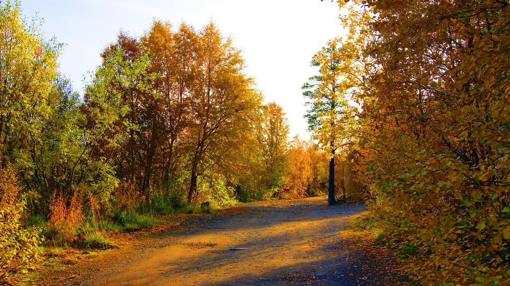 Photograph by Алина Доронина