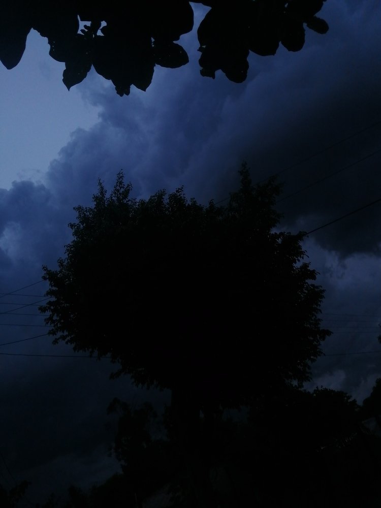 Photo #4191388