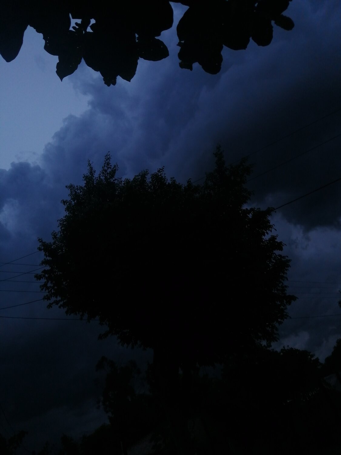 Photo #4191388