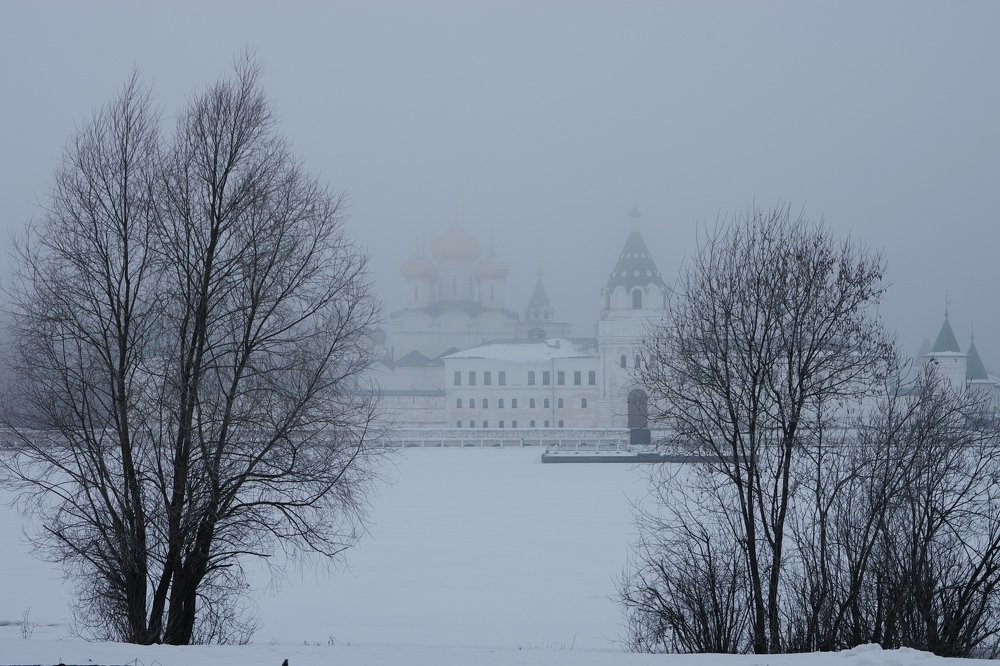 Туманный день января