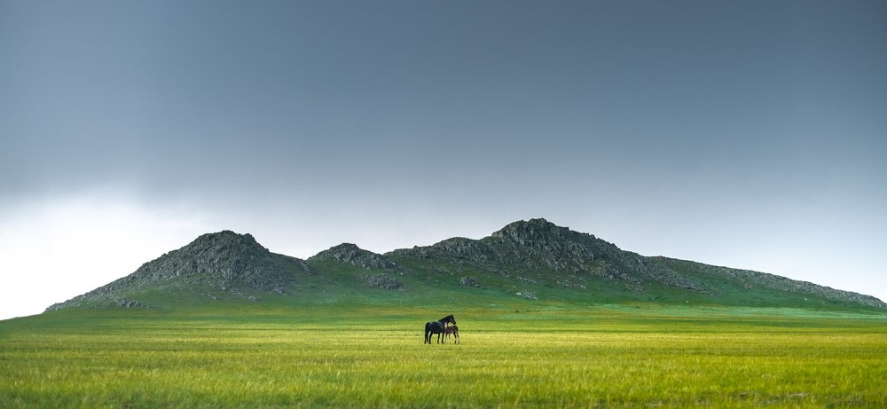 Момент красоты.