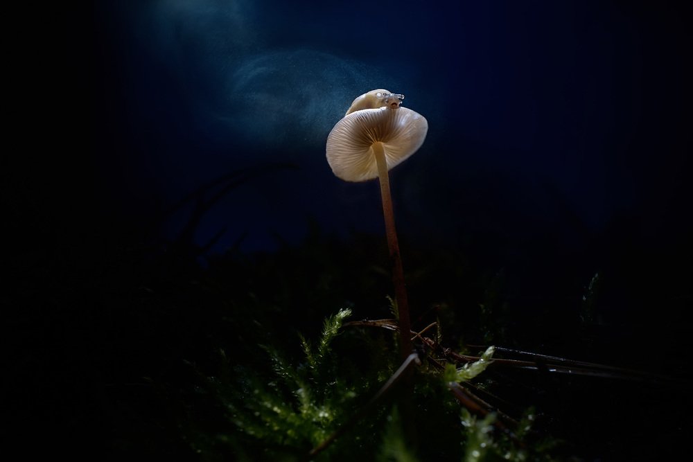 Photograph by Тарасова Ольга