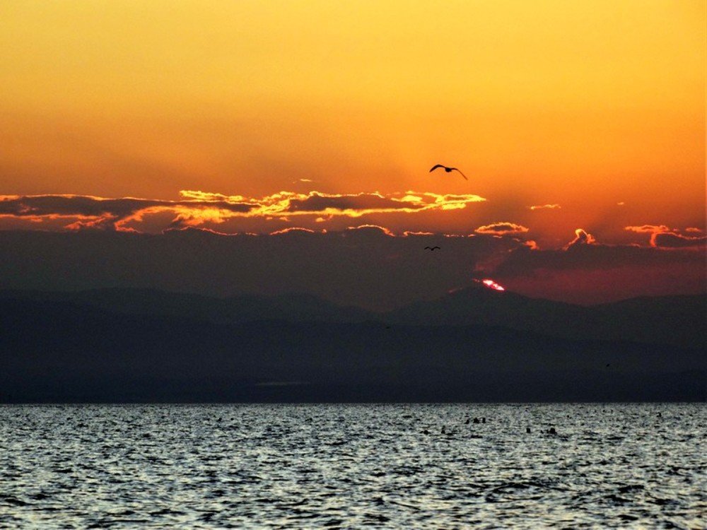 Photograph by Наточин Анатолий
