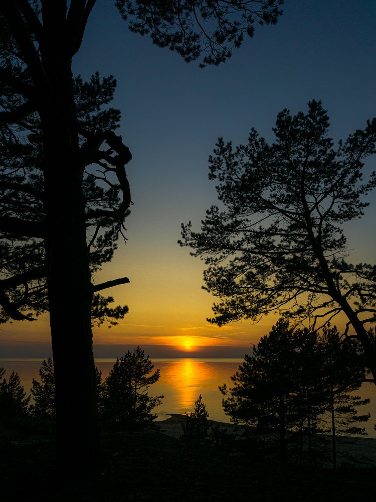Photograph by 