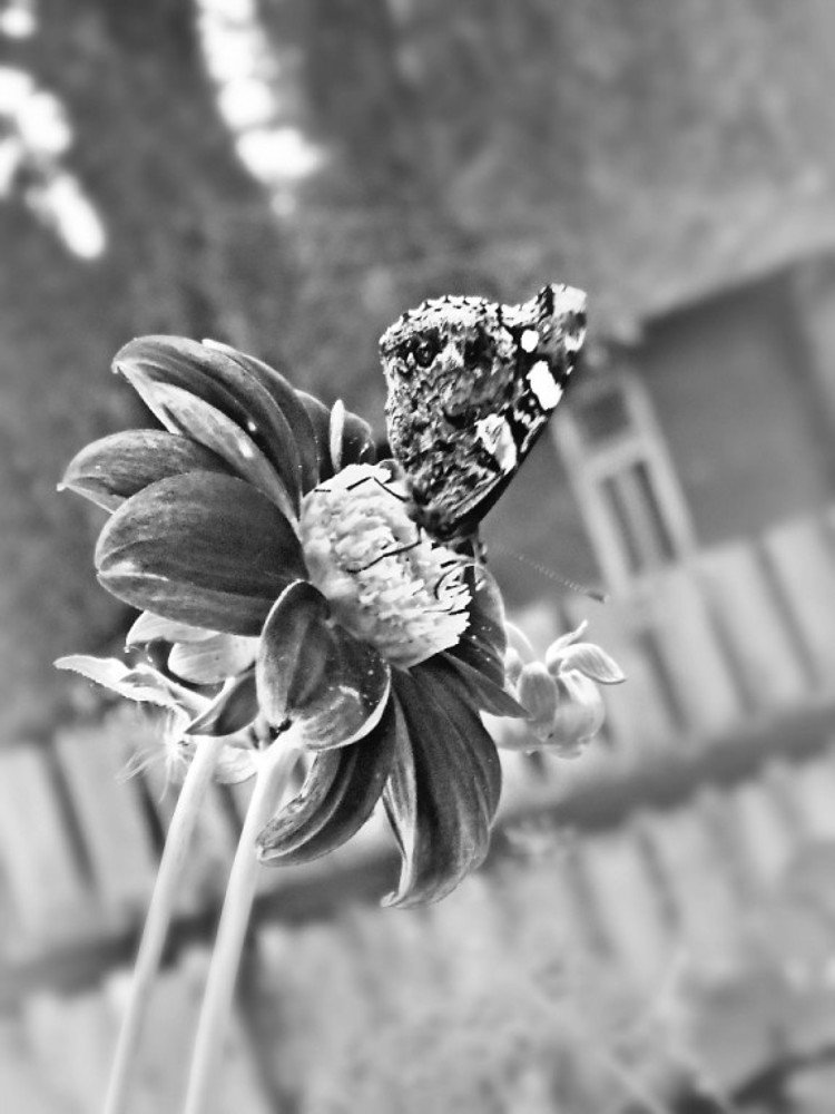 Photograph by Екатерина Ремез