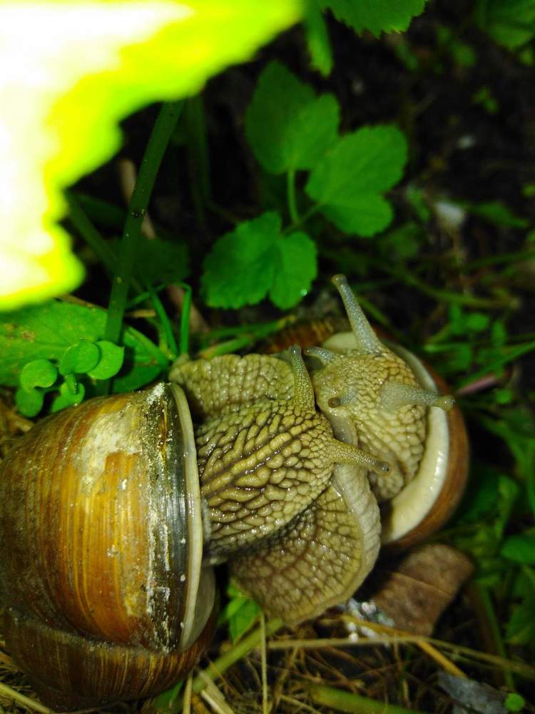 Photograph by Екатерина Ремез