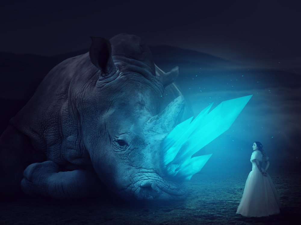 Photograph by Регина Эд