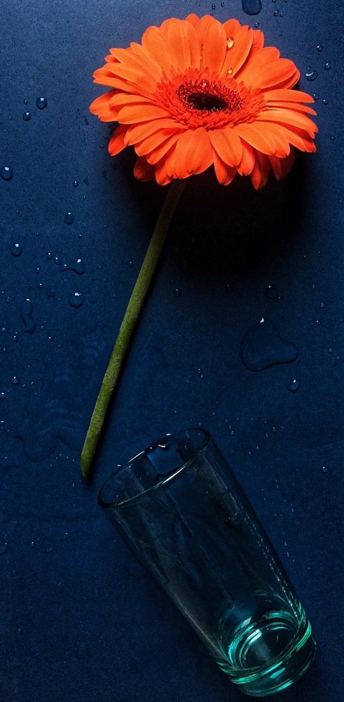 Photograph by Ольга Мурзина