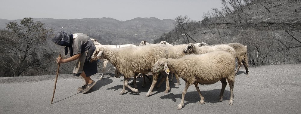 Photograph by Robert Zervos