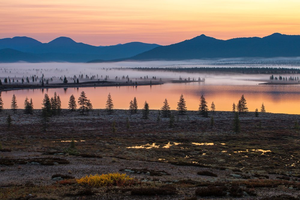 Photograph by Alfia Safuanova