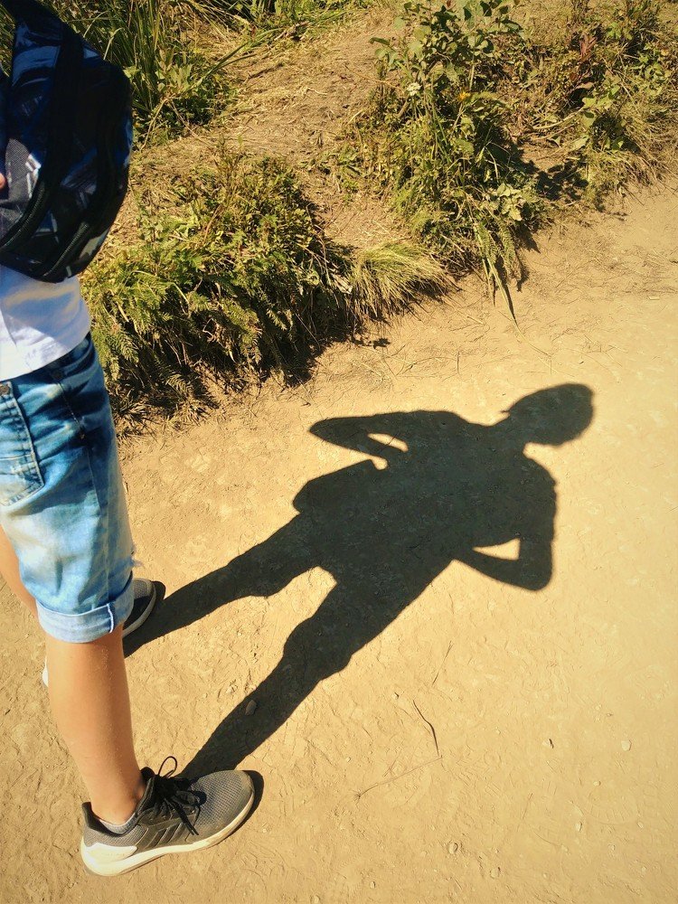 Photo #4191756