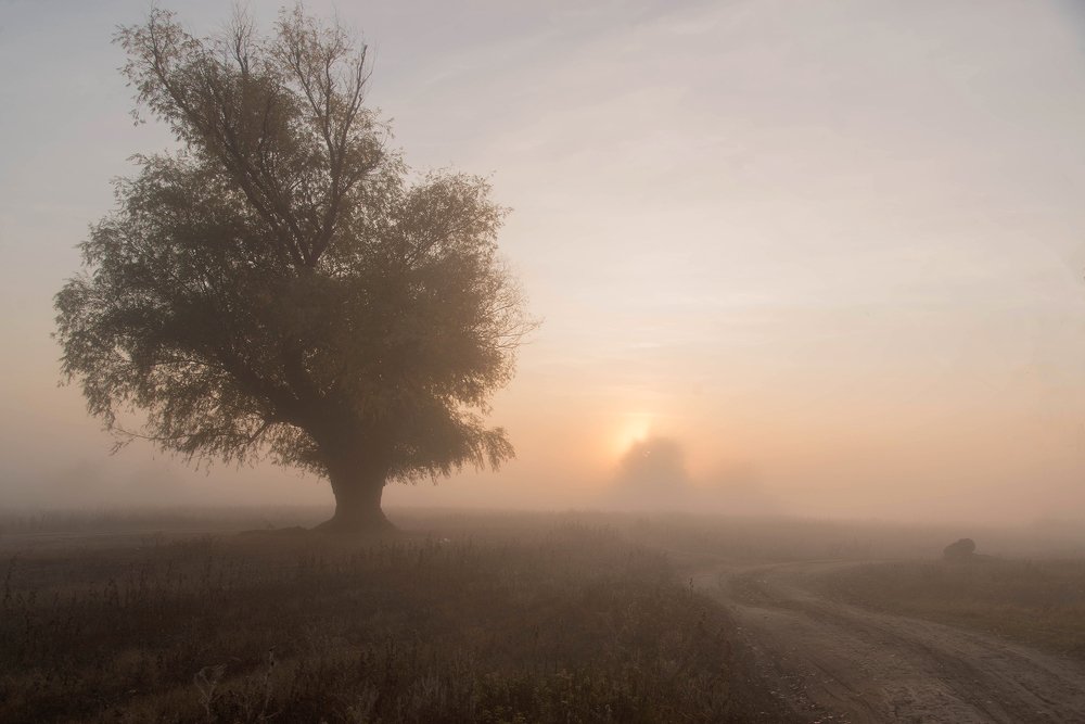 Photograph by Виктор Ястребов