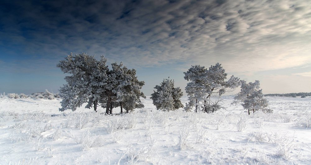 Photograph by Виктор Ястребов