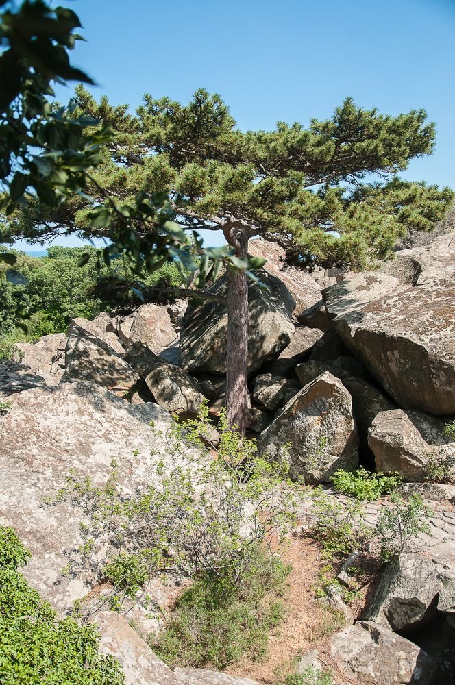 Photograph by Сергей Базовой