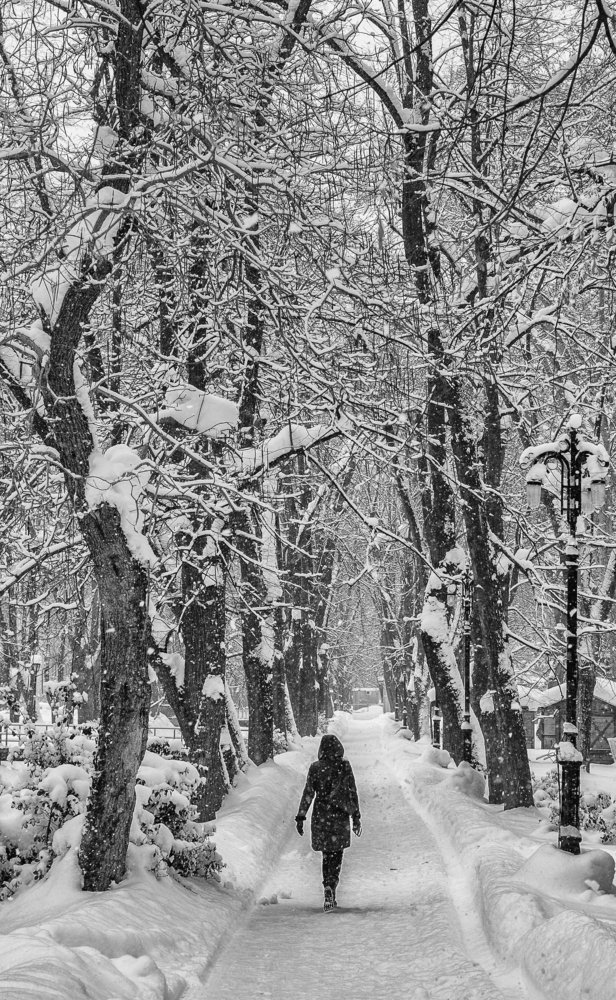 Photograph by Djordje Petrovic