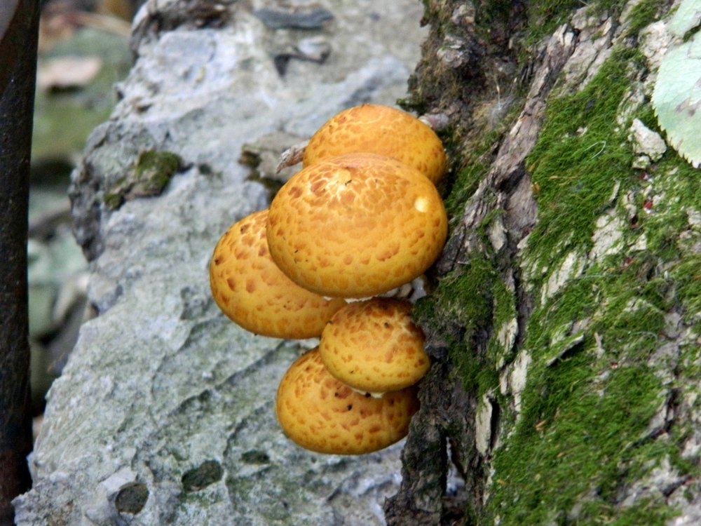 Photograph by Сергей Рапопорт