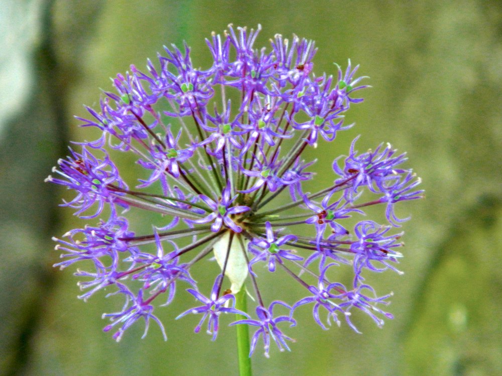 Photograph by Сергей Рапопорт