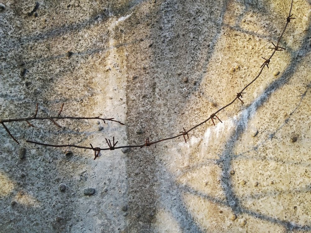 Фотография автора Виктор Конев