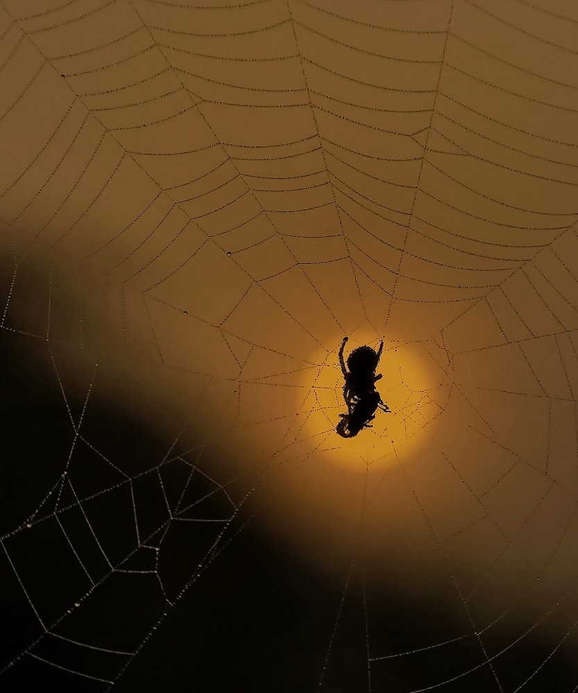 Photograph by Supritam Sarkar