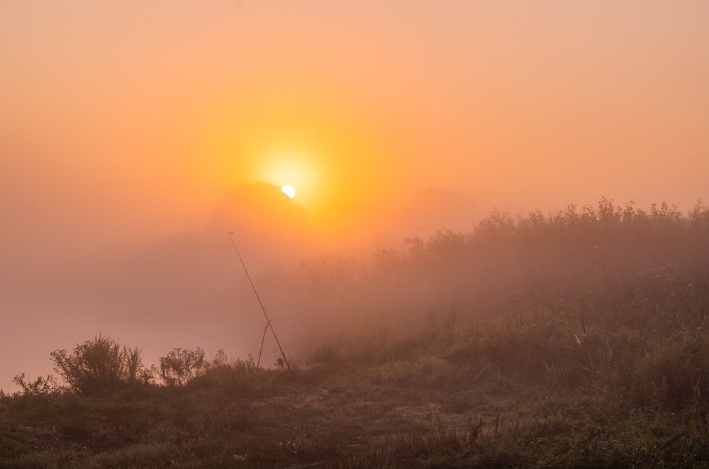 Photograph by Евгений Новицкий