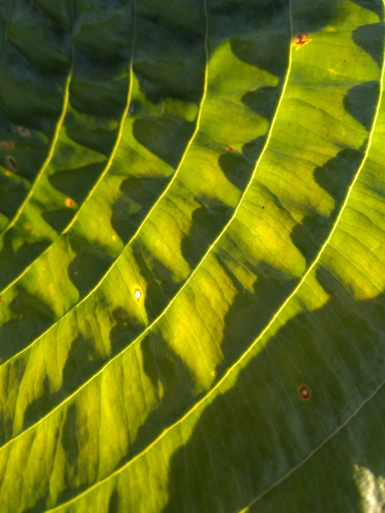 Фотография автора Виктор Конев