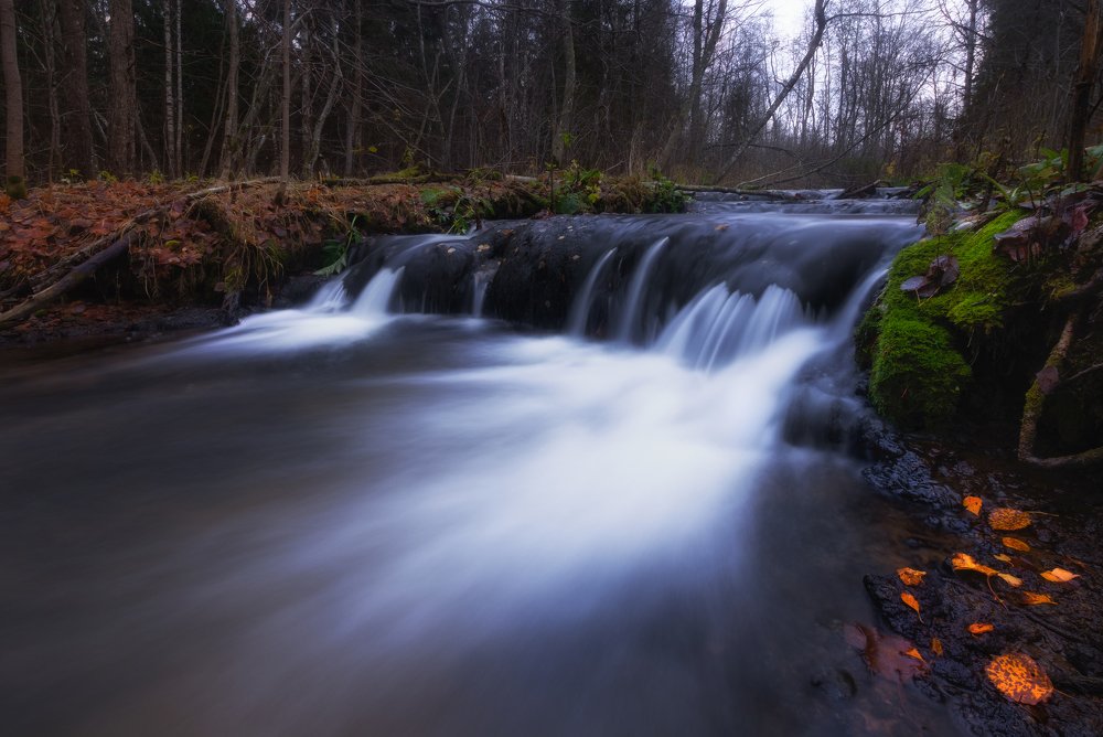 Photograph by Андрей Олонцев