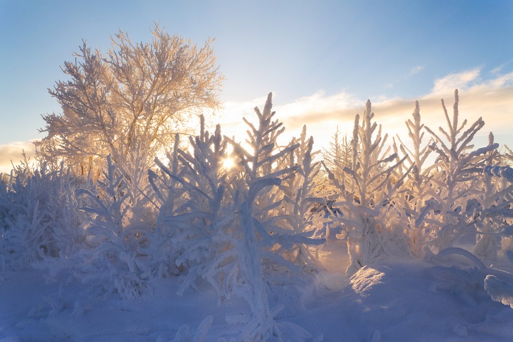 Photograph by Андрей Олонцев