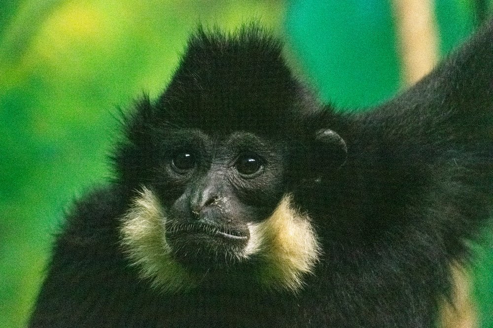 Photograph by Юлия Боровкова