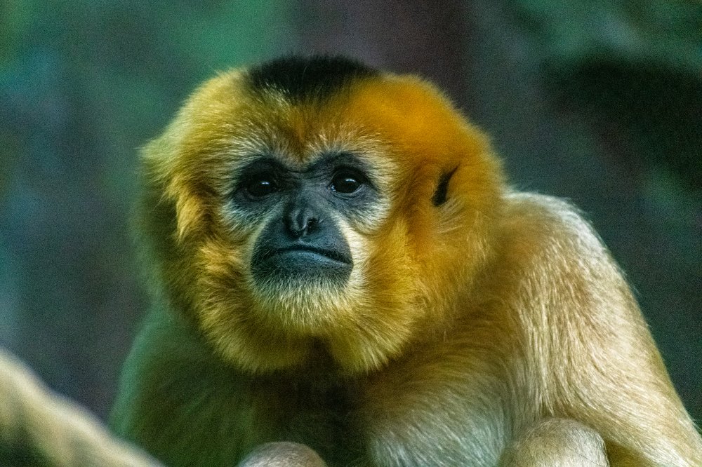 Photograph by Юлия Боровкова