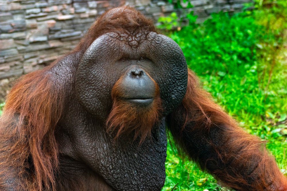 Photograph by Юлия Боровкова