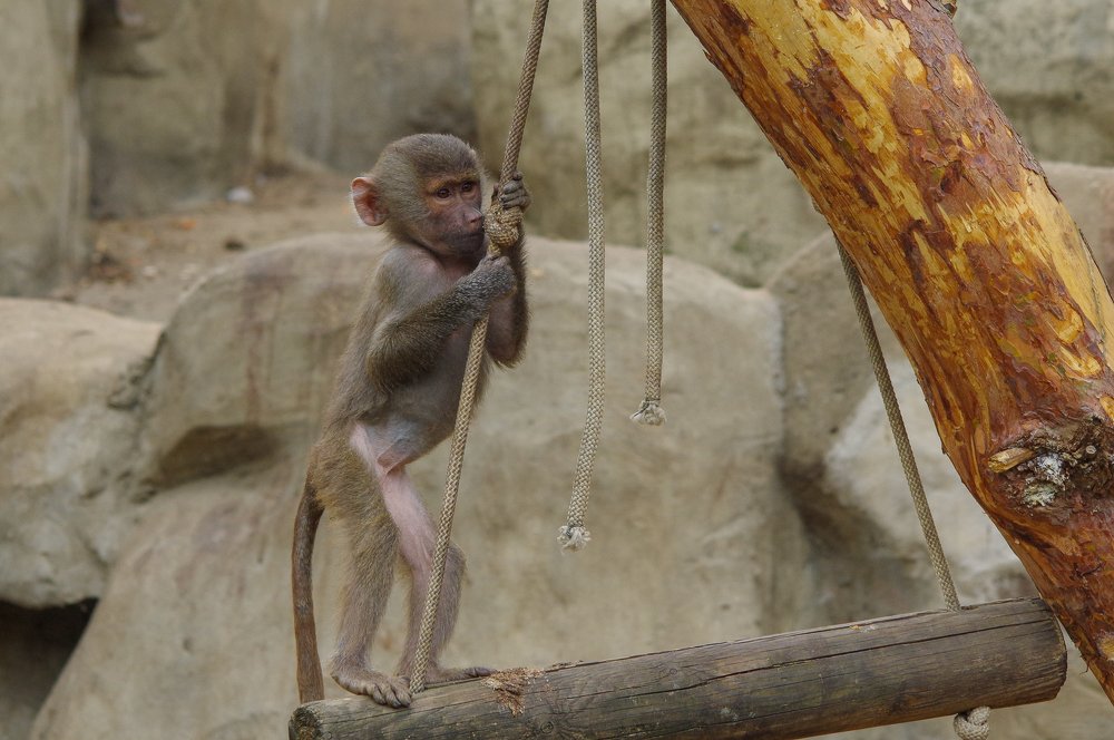 Photograph by Денис Бурмакин