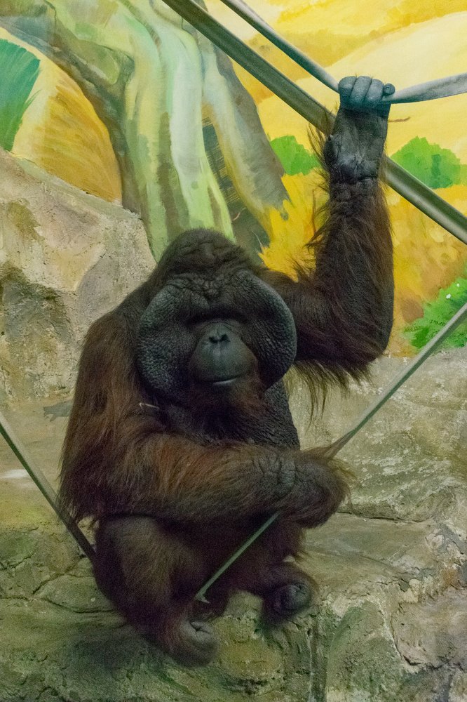 Photograph by Юлия Боровкова