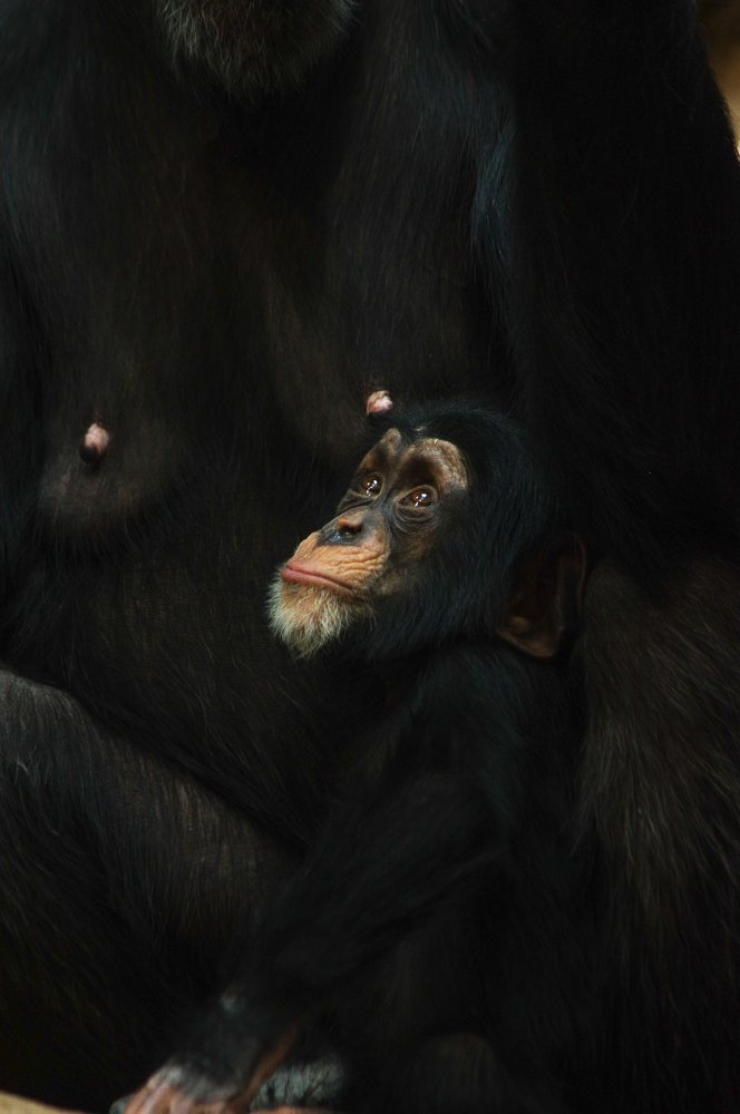 Photograph by Денис Бурмакин