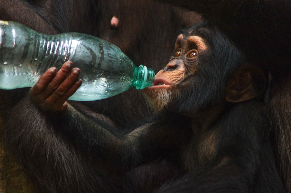 Photograph by Денис Бурмакин