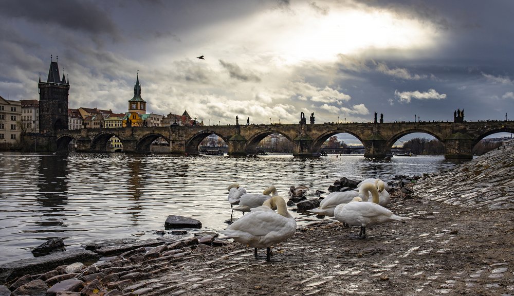 Photograph by Francesco Schiavone