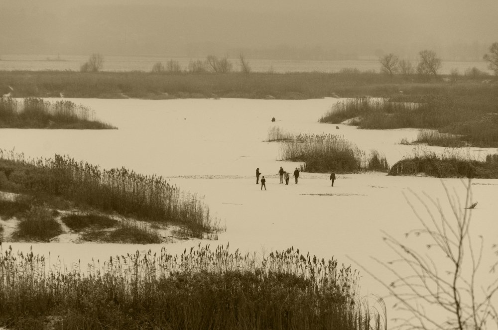 Photograph by Константин