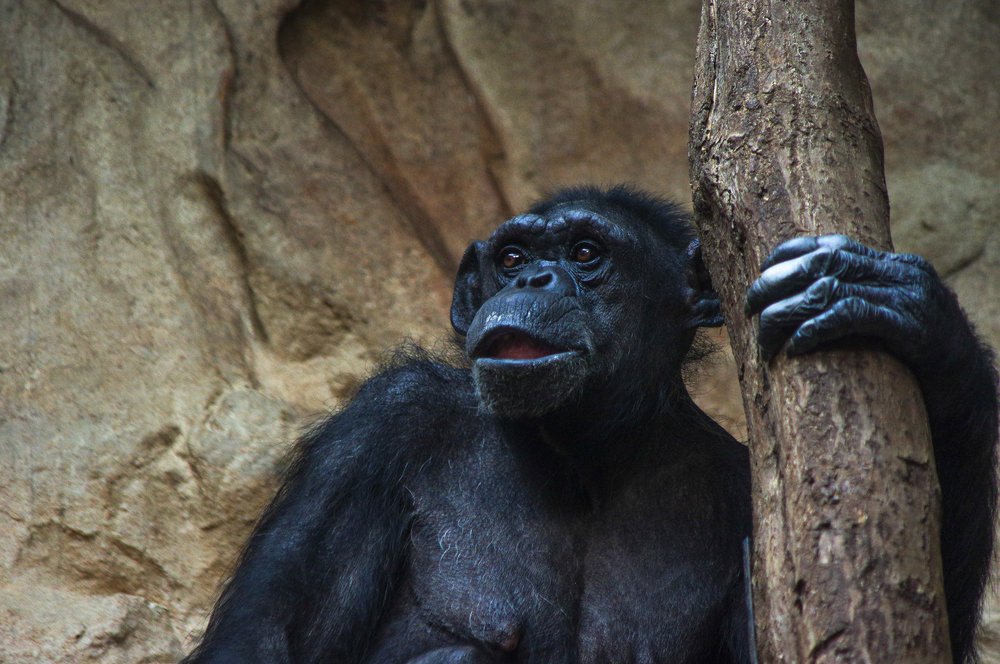 Photograph by Денис Бурмакин